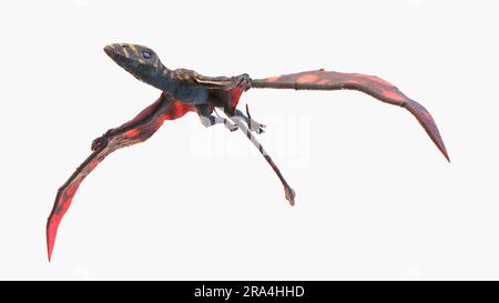 Peteinosaurus pterosaur, Illustration Stockfoto