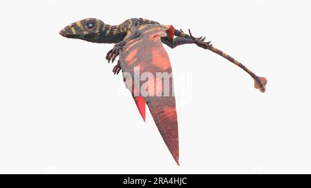 Peteinosaurus pterosaur, Illustration Stockfoto