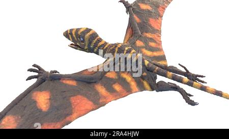 Peteinosaurus pterosaur, Illustration Stockfoto