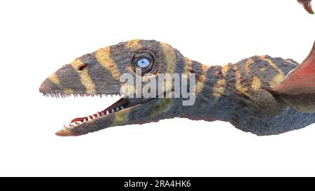 Peteinosaurus pterosaur, Illustration Stockfoto