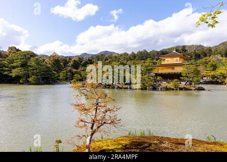 Kinkaku-ji Tempel der Goldene Pavillon Tempel in Kyoto, Japan, Frühjahr 2023, ein Zen buddhistischer Tempel Weltkulturerbe, Japan, Asien Stockfoto