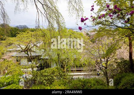 Tenryu - Ji-Tempelgelände, Kyoto, Japan,2023 und sein berühmter malerischer Zen-Garten, Frühlingswetter, Japan, Asien,2023 Stockfoto