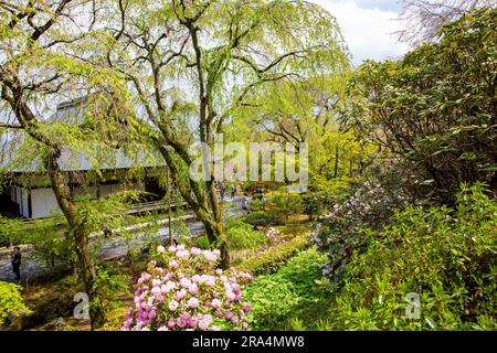 Tenryu - Ji-Tempelgelände, Kyoto, Japan,2023 und sein berühmter malerischer Zen-Garten, Frühlingswetter, Japan, Asien,2023 Stockfoto