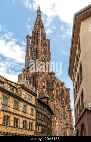 Straßburg, Frankreich - 19. Juni 2023: Straßburger Kathedrale vom Domplatz aus gesehen mit alten Fachwerkhäusern Stockfoto