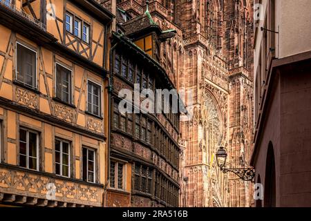 Straßburg, Frankreich - 19. Juni 2023: Straßburger Kathedrale vom Domplatz aus gesehen mit alten Fachwerkhäusern Stockfoto