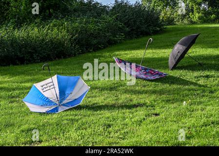 Potsdam, Deutschland. 30. Juni 2023. Sonnenschirme liegen auf dem Rasen beim LITERATURFESTIVAL LIT:potsdam auf dem Gelände der Villa Jacobs zum Trocknen. Kredit: Jens Kalaene/dpa/Alamy Live News Stockfoto