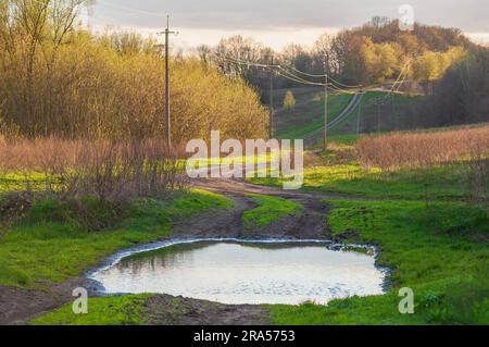 Ukrainische Frühlingslandschaft, Landschaft. Schmutzige, kurvige Straße in einer Schlucht, eine große Pfütze Stockfoto