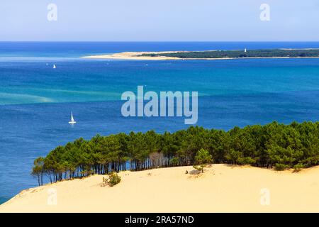 Dune of Pilat (Dune du Pilat), Frankreich. Die Grande Dune du Pilat ist die höchste Sanddüne in Europa. Es befindet sich in La Teste-de-Buch im Arcachon Stockfoto