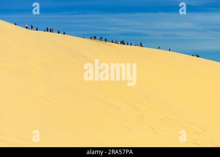 Dune of Pilat (Dune du Pilat), Frankreich. Die Grande Dune du Pilat ist die höchste Sanddüne in Europa. Es befindet sich in La Teste-de-Buch im Arcachon Stockfoto