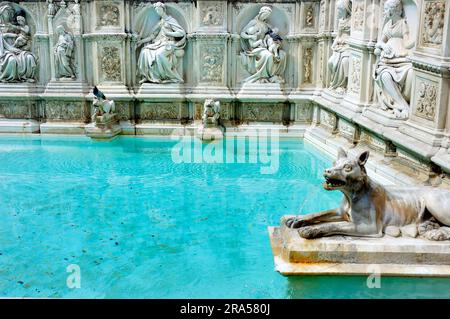 Siena, Italien, Fonte Gaia ist ein monumentaler Brunnen auf der Piazza del Campo im Zentrum von Siena. Stockfoto