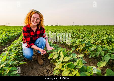 Porträt einer Landwirtin, die Sojabohnen anbaut. Sie ist mit dem guten Fortschritt der Pflanzen zufrieden. Landwirtschaftliche Tätigkeit. Stockfoto