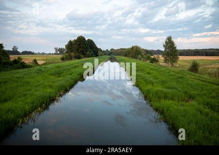 Ein langsam fließender breiter Fluss zwischen üppigen grünen Gräsern und landwirtschaftlichen Feldern. Stockfoto