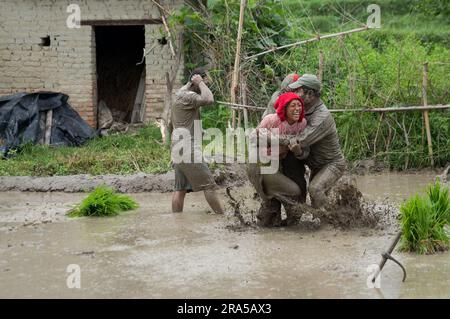 Kathmandu, Nepal. 30. Juni 2023. Während der National Paddy Day Party spielen die Menschen auf einem Reisfeld im schlammigen Wasser. Die nepalesische Bevölkerung feiert den National Paddy Day, indem sie Reisfelder anpflanzt, im Schlamm spielt, traditionelle Lieder singt, Joghurt isst und Reis schlägt, was den Beginn der jährlichen Reissaison markiert. Kredit: SOPA Images Limited/Alamy Live News Stockfoto