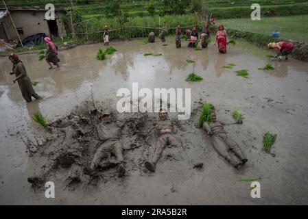 Kathmandu, Nepal. 30. Juni 2023. Während der National Paddy Day Party spielen die Menschen auf einem Reisfeld im schlammigen Wasser. Die nepalesische Bevölkerung feiert den National Paddy Day, indem sie Reisfelder anpflanzt, im Schlamm spielt, traditionelle Lieder singt, Joghurt isst und Reis schlägt, was den Beginn der jährlichen Reissaison markiert. Kredit: SOPA Images Limited/Alamy Live News Stockfoto