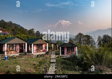 Eine Landschaft rund um das Australian Camp, eine berühmte Wanderstrecke in der Annapurna Gebirgskette in der Nähe der Stadt Pokhara, Nepal. Stockfoto