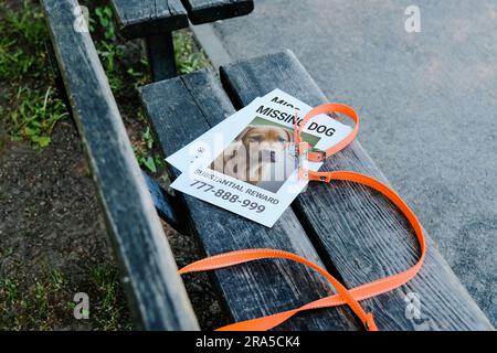 Auf der Bank ist eine orangefarbene Leine mit einem Halsband, Flyer über den Verlust eines Haustiers. Das Konzept der Liebe für Haustiere. Stockfoto