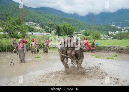 Kathmandu, Nepal. 30. Juni 2023. Während der National Paddy Day Party spielen die Menschen auf einem Reisfeld im schlammigen Wasser. Die nepalesische Bevölkerung feiert den National Paddy Day, indem sie Reisfelder anpflanzt, im Schlamm spielt, traditionelle Lieder singt, Joghurt isst und Reis schlägt, was den Beginn der jährlichen Reissaison markiert. (Foto: Bivas Shrestha/SOPA Images/Sipa USA) Guthaben: SIPA USA/Alamy Live News Stockfoto