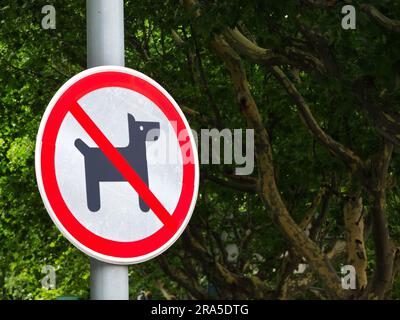 Hunde sind nicht erlaubt rund rotes Schild Haustiere verboten Symbol auf Metallstange mit Bäumen als Hintergrund kopieren Raum Foto Stockfoto