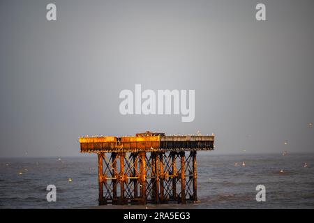 Meerwassereinlass für Kernkraftwerke Sizewell Suffolk England Stockfoto