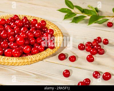 Eine Weidenstrohplatte voller reifer Kirschen. Beeren sind auf einem Holztisch verstreut Stockfoto