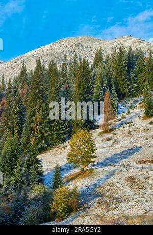 Erstaunliche Szene auf Herbstbergen. Erster Schnee und Orangenbäume im fantastischen Morgennebel. Karpaten, Europa. Landschaftsfotografie Stockfoto