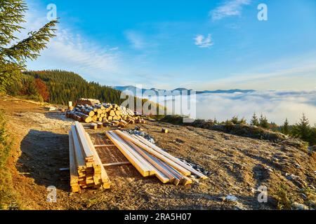 Ein großer Stapel gesägtes rundes Brennholz wird auf dem Boden aufgeschichtet. Schneebedeckte Erde. Stockfoto