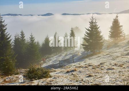 Erstaunliche Szene auf Herbstbergen. Erster Schnee und Orangenbäume im fantastischen Morgennebel. Karpaten, Europa. Landschaftsfotografie Stockfoto