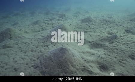 Sandiger, schmutziger Boden mit sandigen Hügeln bedeckt, Kamera bewegt sich über dem Meeresboden nach vorn. Natürlicher Hintergrund aus der Unterwassertiefe, Rotes Meer, Ägypten Stockfoto