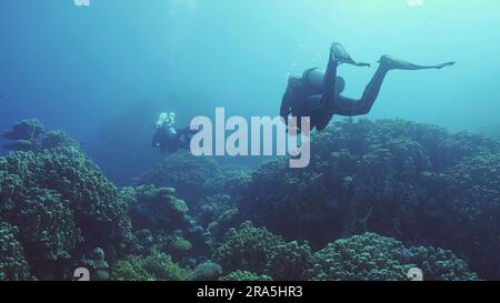 Eine Gruppe von Tauchern schwimmt in der Tiefe neben dem Korallenriff an hellen sonnigen Tagen, Hintergrundbeleuchtung (Contre-jour), Rückansicht, Rotes Meer, Safaga, Ägypten Stockfoto