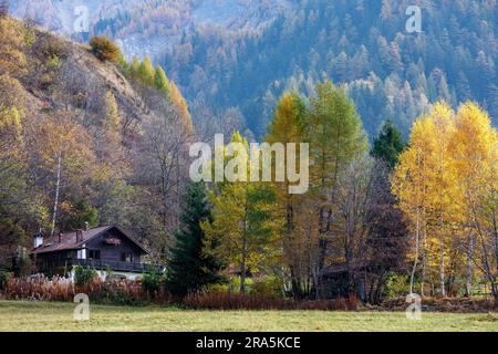 CORMAYEUR, ITALIEN/EUROPA - Oktober 27: Herbst Szene mit alpenländischen Stil Chalet und Bäume in Cormayeur Italien am 27. Oktober 2008 Stockfoto