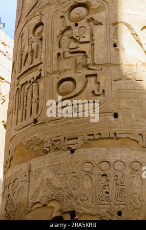 Spalten Detail im Karnak-Tempel in Luxor, Ägypten. Hieroglyphen Stockfoto