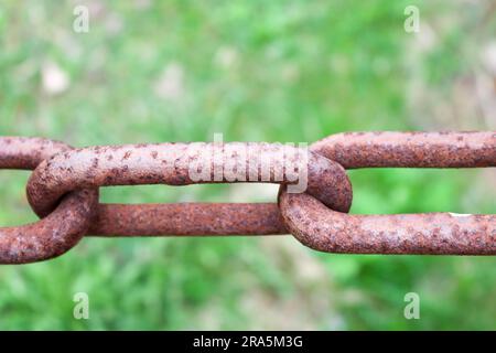 Rostig oxidiertes braunes Glied einer alten, starken, geschmiedeten Metalleiskette vor grünem Gras Stockfoto