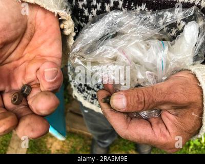 Der Mann hält ein Paket mit verschiedenen Reparaturwerkzeugen in der Hand. Ein Mann geht durch Nägel, Muttern, Bolzen. An seiner Hand sind verschiedene Reparaturwerkzeuge. Die Hände eines Meisters Stockfoto