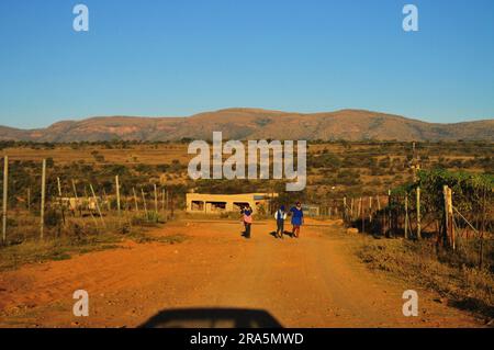 Ein Stück Leben in den ländlichen Dörfern GA-Chuene und GA-Maja in Limpopo, Südafrika Stockfoto