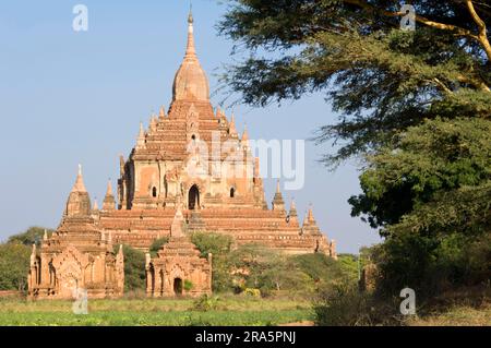 Htilominlo-Tempel, Bagan, Birma, Pagan, Myanmar Stockfoto