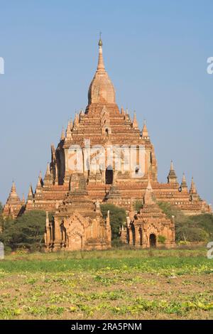 Htilominlo-Tempel, Bagan, Birma, Pagan, Myanmar Stockfoto