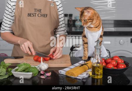 Die Katze und ihr Besitzer in Schürzen kochen gemeinsam in der heimischen Küche. Die Katze sieht zu, wie die Frau die Tomaten schneidet. Stockfoto