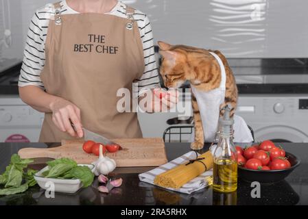 Die Katze und ihr Besitzer in Schürzen kochen gemeinsam in der heimischen Küche. Die Katze sieht zu, wie die Frau die Tomaten schneidet. Stockfoto