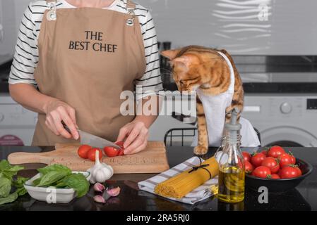 Die Katze und ihr Besitzer in Schürzen kochen gemeinsam in der heimischen Küche. Die Katze sieht zu, wie die Frau die Tomaten schneidet. Stockfoto