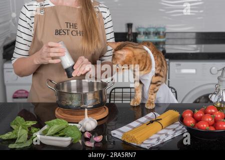 Die Katze und ihr Besitzer in Schürzen kochen gemeinsam in der heimischen Küche. Hauskatze beobachtet, wie das Mädchen das Futter salzt. Stockfoto