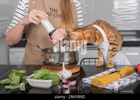 Die Katze und ihr Besitzer in Schürzen kochen gemeinsam in der heimischen Küche. Hauskatze beobachtet, wie das Mädchen das Futter salzt. Stockfoto