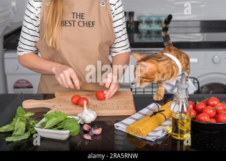 Die Katze und ihr Besitzer in Schürzen kochen gemeinsam in der heimischen Küche. Die Katze sieht zu, wie die Frau die Tomaten schneidet. Stockfoto