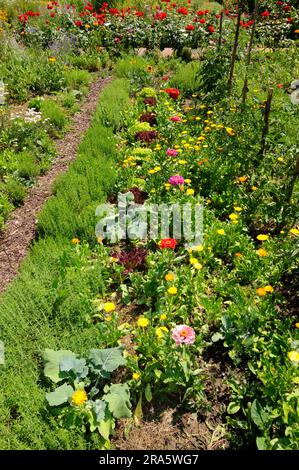Klostergarten, Kloster Fulda, Fula, Hessen, Deutschland Stockfoto