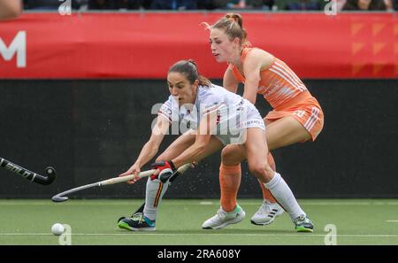 Antwerpen, Belgien. 01. Juli 2023. Judith Vandermeiren aus Belgien kämpft für den Ball während eines Hockeyspiels zwischen der belgischen Nationalmannschaft Red Panthers und den Niederlanden, das am Samstag, den 01. Juli 2023 in Antwerpen stattfand, Spiel 9/12 in der Gruppenphase der Women's FIH Pro League 2023. BELGA PHOTO VIRGINIE LEFOUR Kredit: Belga News Agency/Alamy Live News Stockfoto