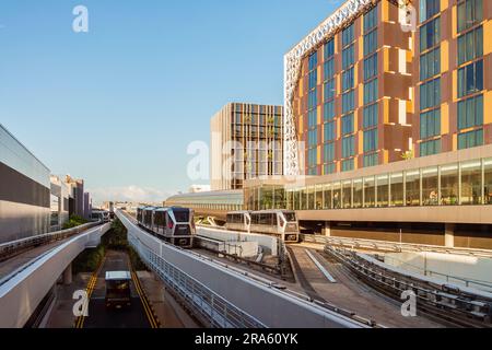 Flughafen Changi, Singapur - 24. Januar 2020: Futuristische Sky-Züge am Flughafen Changi, die bei Sonnenuntergang zwischen den Terminals verkehren, mit Blick über das Terminal Stockfoto
