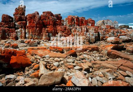 Rocky Coast, Cape Algulhas, Südafrika Stockfoto