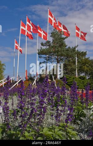 Flaggen, Jesperus Blomsterpark, Blüten- und Freizeitpark, Insel Mors, Jutland, Blumenpark, Dänemark Stockfoto