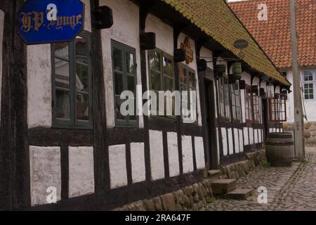 Freilichtmuseum Den Gamle by, Aarhus, Midtjylland, Dänemark Stockfoto
