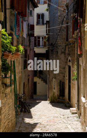 Allee in der Altstadt, Rovinj, Istrien, Kroatien Stockfoto