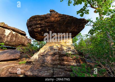 Die Morgensonne scheint auf die vielen großen, wunderschönen Felsen, die die Klippen säumen. Zahlreiche seltsam geformte Felsen auf den Klippen. Eine große Zahl Stockfoto